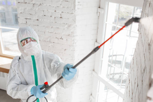 Best Mold Remediation for Healthcare Facilities  in Deerfield Beach, FL