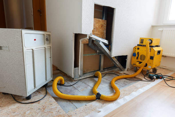 Best Indoor Air Quality Assessment  in Deerfield Beach, FL
