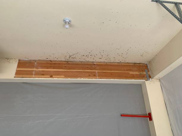 Best Residential Mold Inspection & Testing  in Deerfield Beach, FL